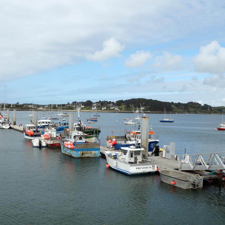 Port de l'Aber Wrac'h