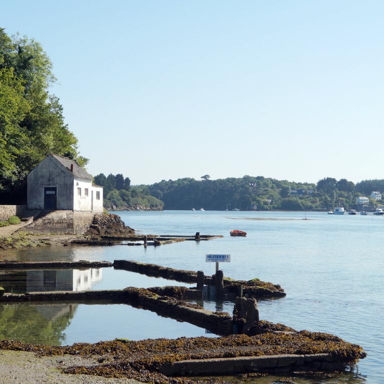 Huitrières du Chateau de Bélon
