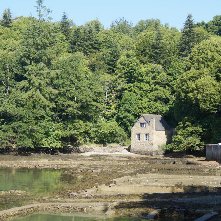 Huitres Anne de Belon