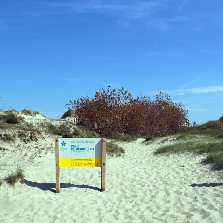 Dune du Perroquet