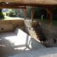 Lavoir