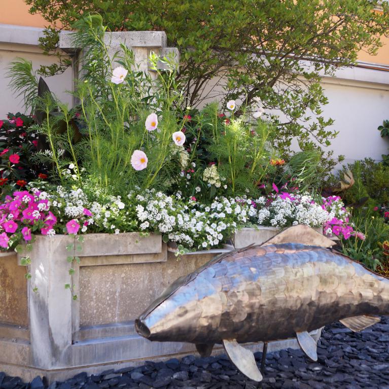 Poisson