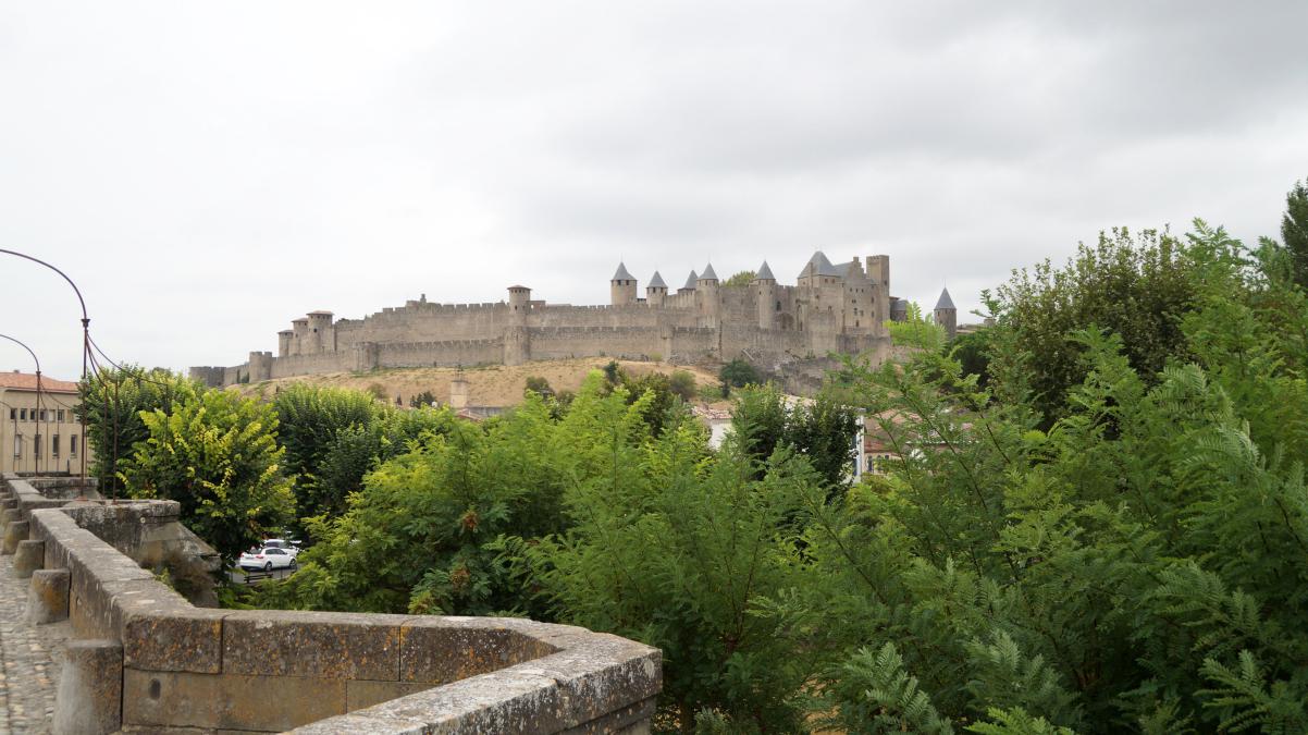 La cité vue du pont Vieux