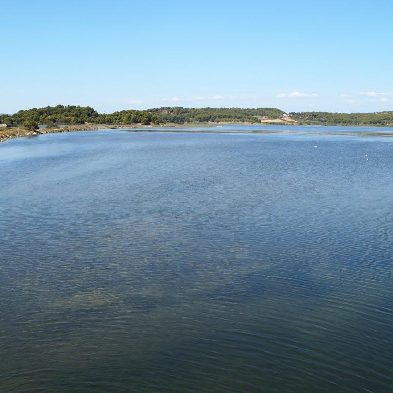 Étang de Gruissan