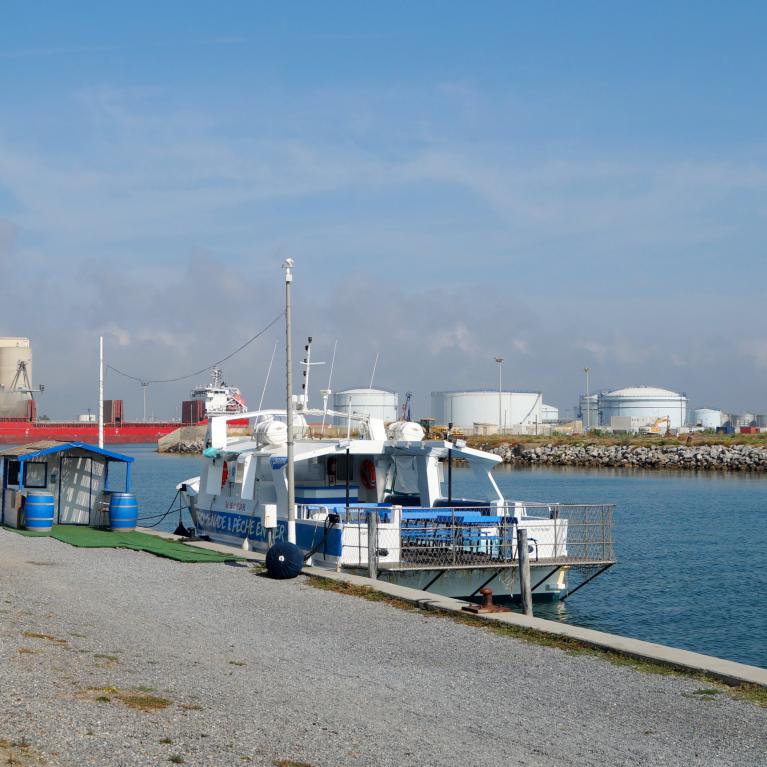 Promenade & pêche en mer