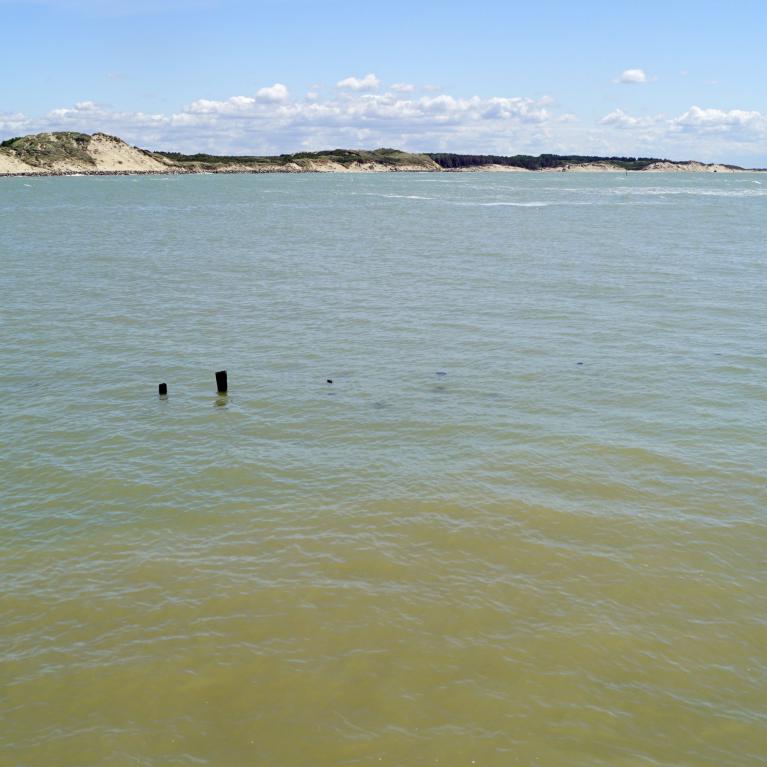 Baie d'Authie