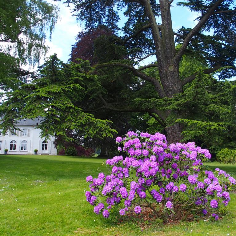 Château du Romerel