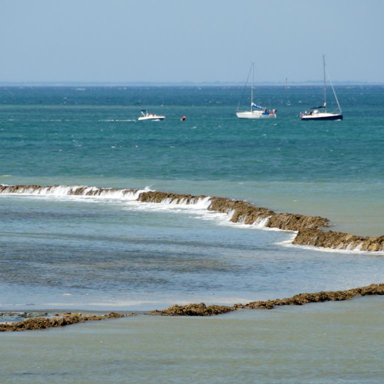 Écluse à poissons