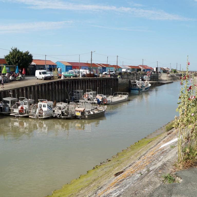 Port ostréicole