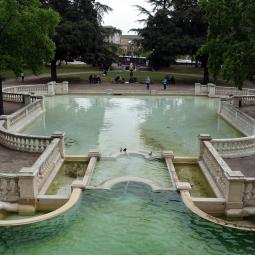 Bassin au jardin Darcy