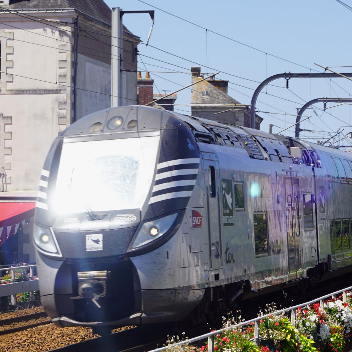 Train