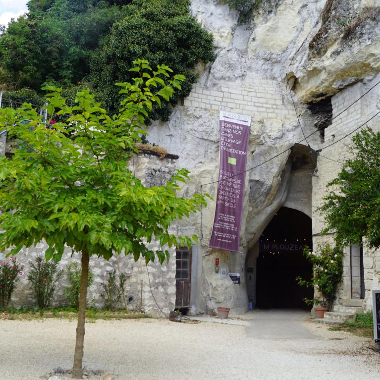 Caves Plouzeau