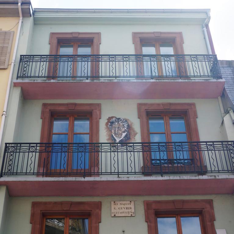 Maison natale G. Cuvier