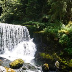 Source du Doubs