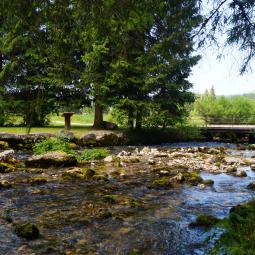 Source du Doubs