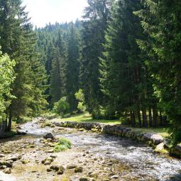 Source du Doubs