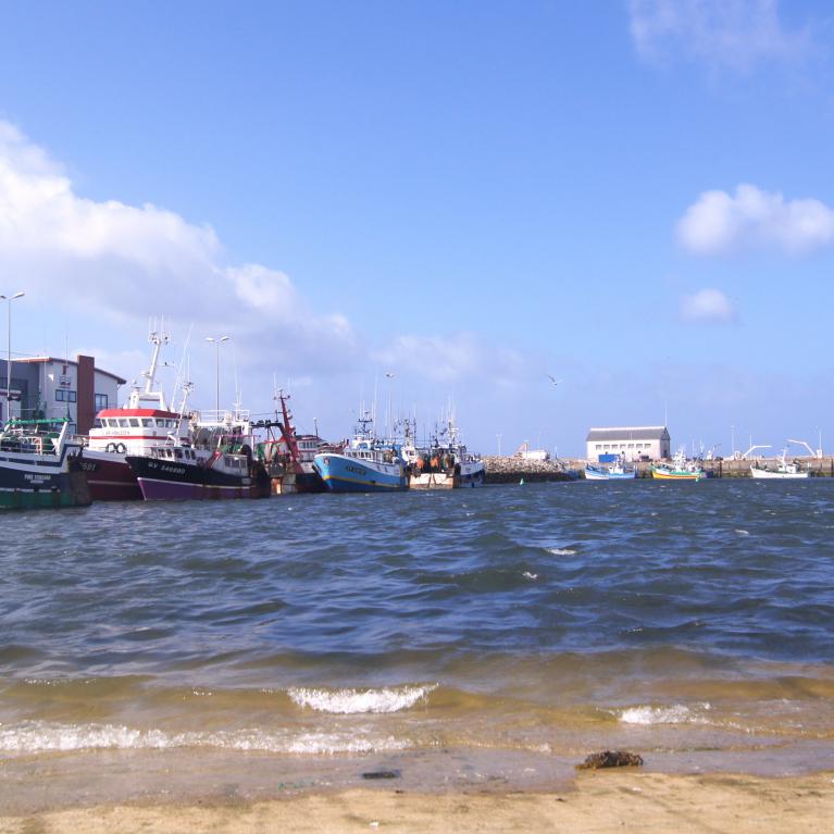 Port de pêche