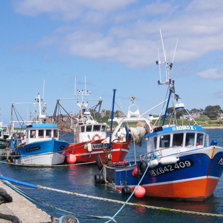 Port de pêche, Le Diben