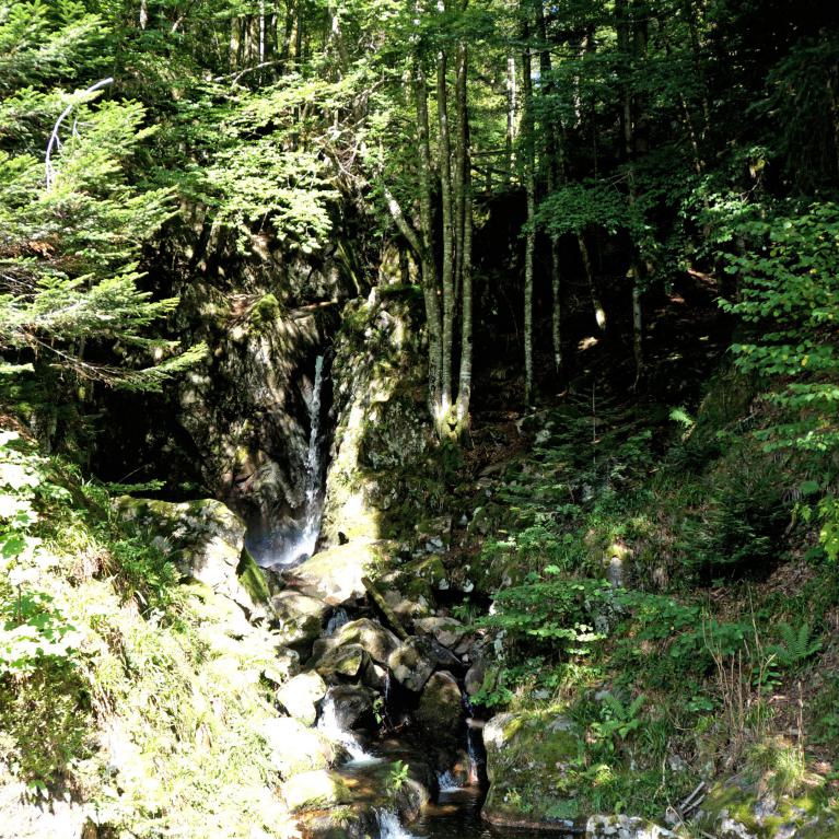 Cascade du Saut de la Truite