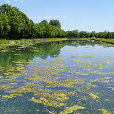 Canal de Bourgogne