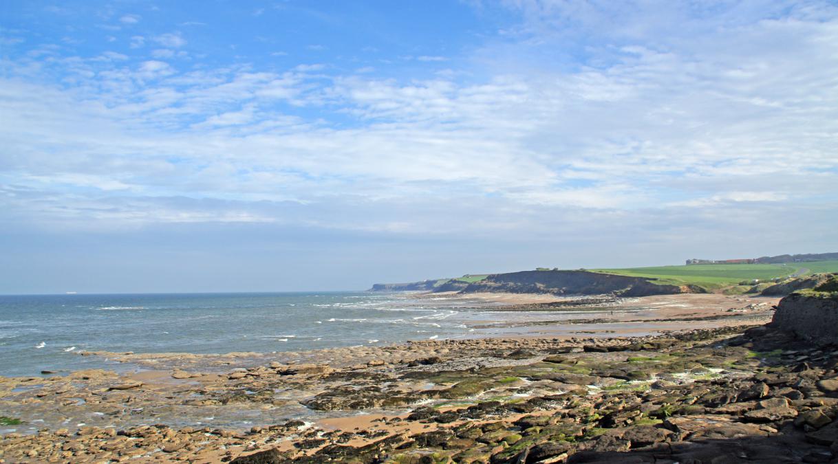 Vue sur Cran Poulet-Audinghen