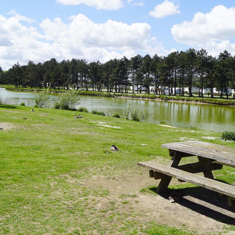 Isigny-sur-Mer-Aire de pique-nique