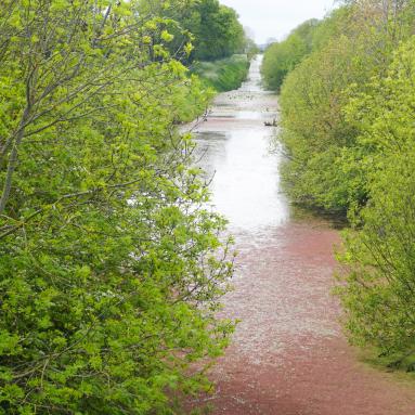 Montmartin en Graignes-Canal de Vire et Taute