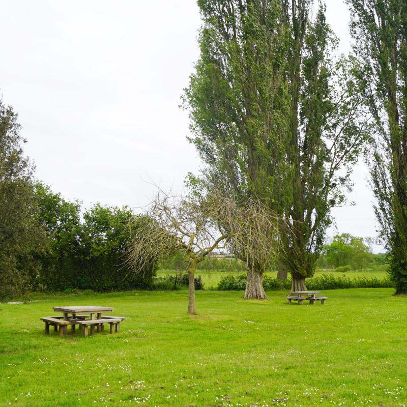 Aire de pique-nique