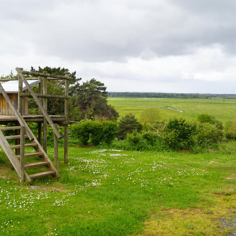 Observatoire des marais