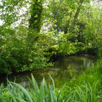 Site de la Maison des Marais