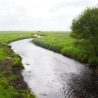 Site des Marais du Rivage