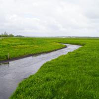 Site des Marais du Rivage