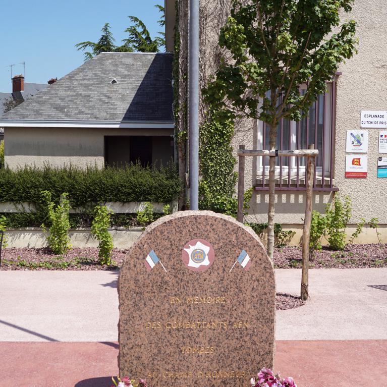 Hommage aux Combattants AFN