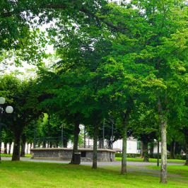 Parc Charles-Silvestre