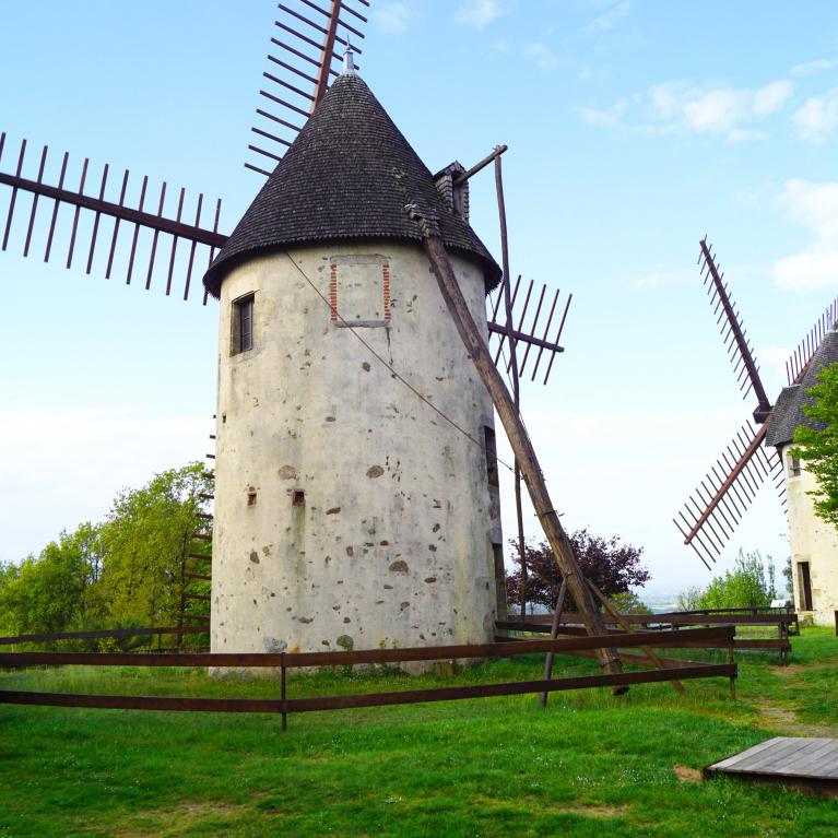 Moulins du Terrier Marteau