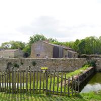Cité des Oiseaux