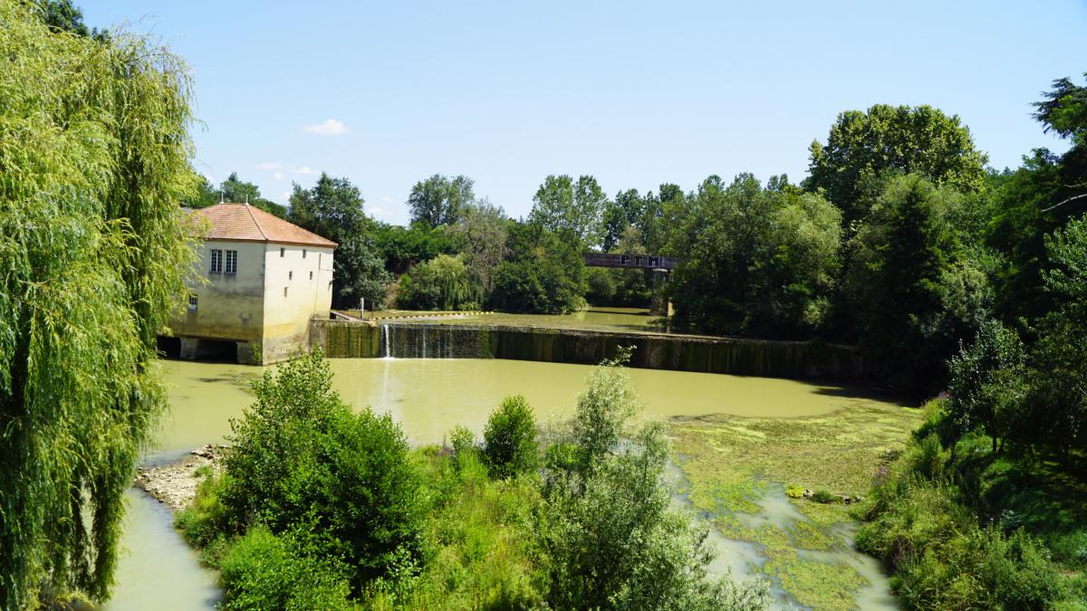 Moulin