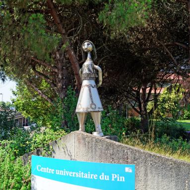 Centre Universitaire du Pin