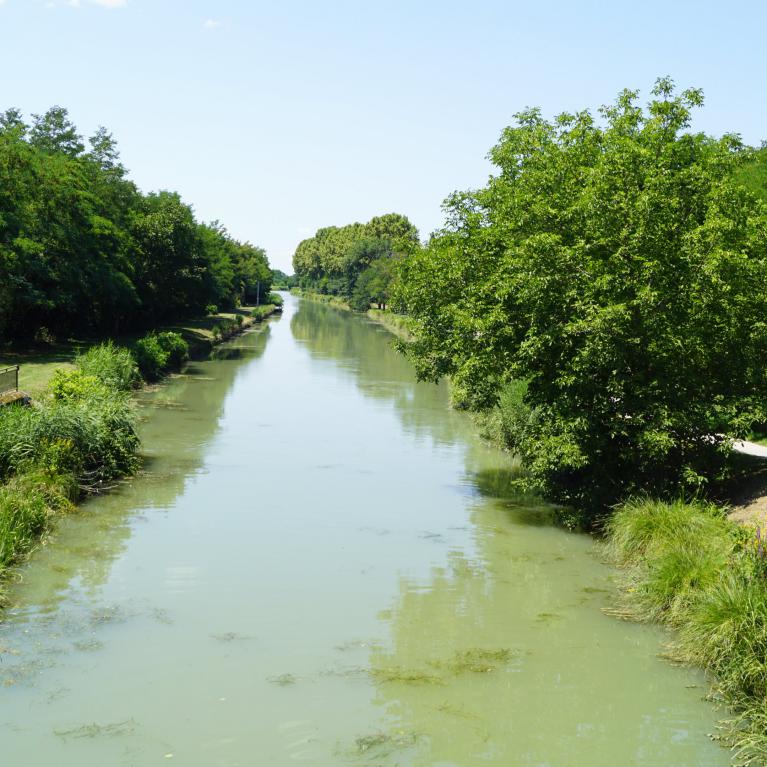 Canal latéral à la Garonne
