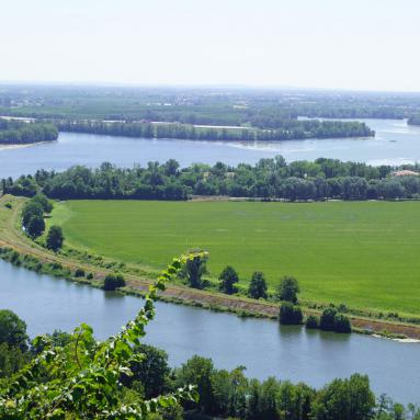 Confluence de la Garonne et du Tarn