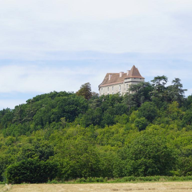 Château de Goudourville