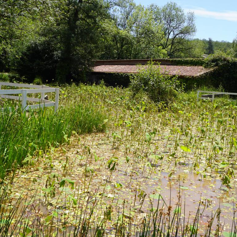 Parc Adrien Barthélemy