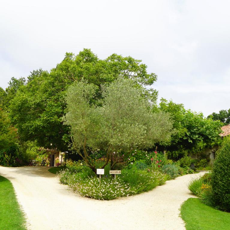 Les Jardins de Coursiana
