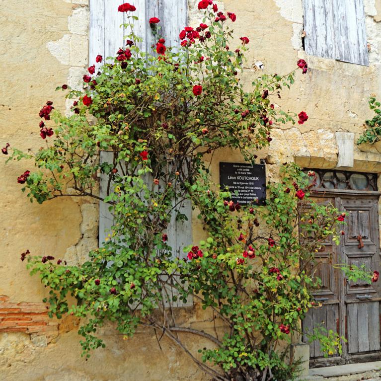 Plaque Léon Koutchouk