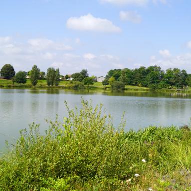 Canal latéral à la Loire